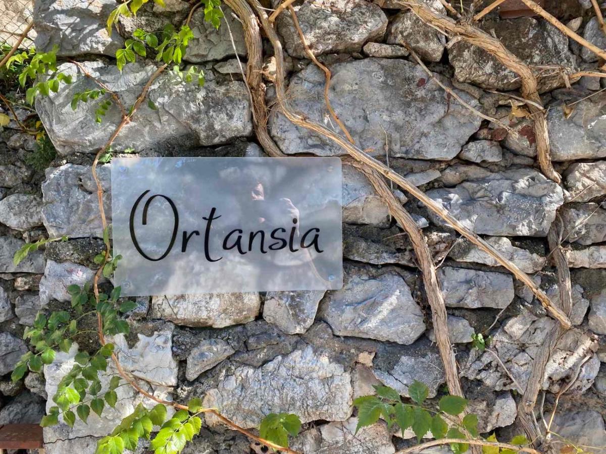 Ortansia Apartment Dimitsana Exterior photo